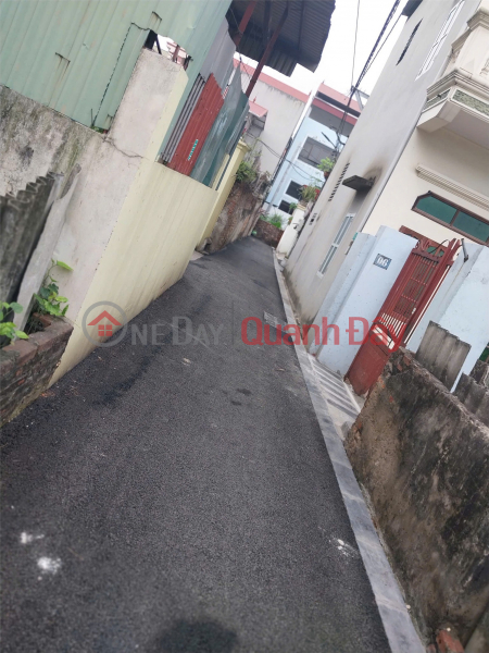 BEAUTIFUL LAND - GOOD PRICE - Need to Sell Quickly Land Lot in Prime Location in Tien Duong Commune, Dong Anh, Hanoi, Vietnam, Sales, đ 90 Million