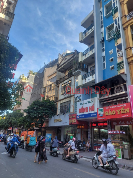 Property Search Vietnam | OneDay | Nhà ở | Niêm yết bán | CẦN TIỀN ! BÁN NHÀ BIÊT THỰ HAPULICO NGUYỄN HUY TƯỞNG, THANH XUÂN KHU VÍP NHÀ Ở CÁN BỘ VĂN PHÒNG CHÍNH PHỦ