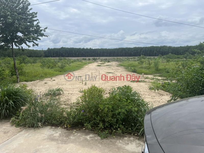 Property Search Vietnam | OneDay | Residential Sales Listings | Plot of land for sale, good location, favorable price, in Phuoc Vinh town