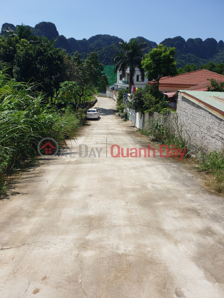 Land for sale in Quang Hanh, Cam Pha, only 120m from Highway 18 Sales Listings