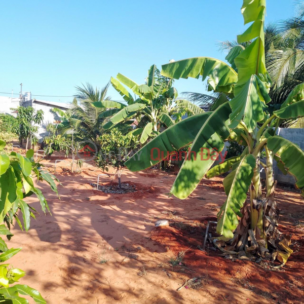 Beautiful Land - Good Price Need to Sell Land Quickly in Xuan An Ward, Phan Thiet City, Binh Thuan Vietnam | Sales, ₫ 13 Billion