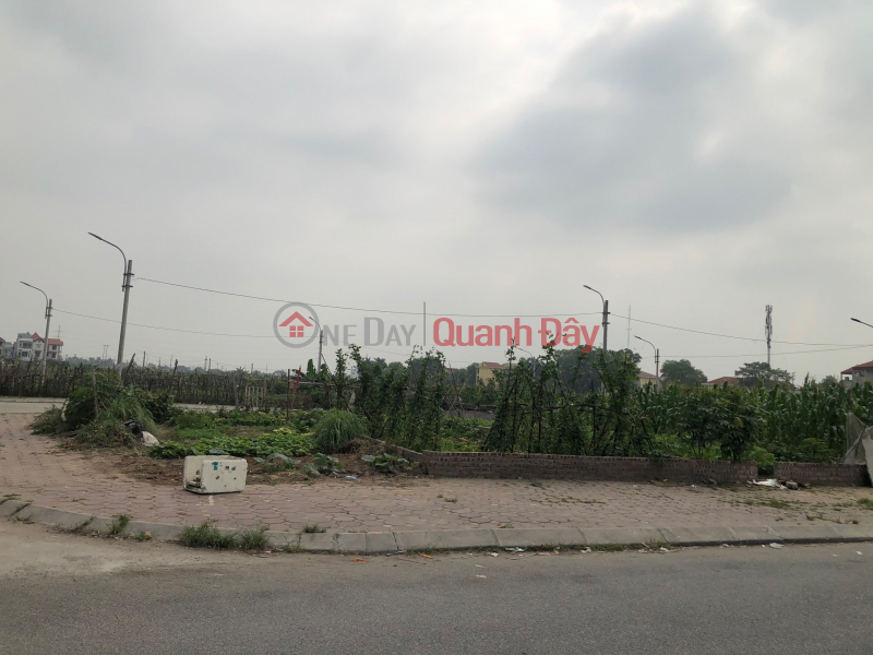 đ 4.8 Billion, Land for sale at auction X5 Trung Oai Tien Duong Dong Anh, business street price 6X