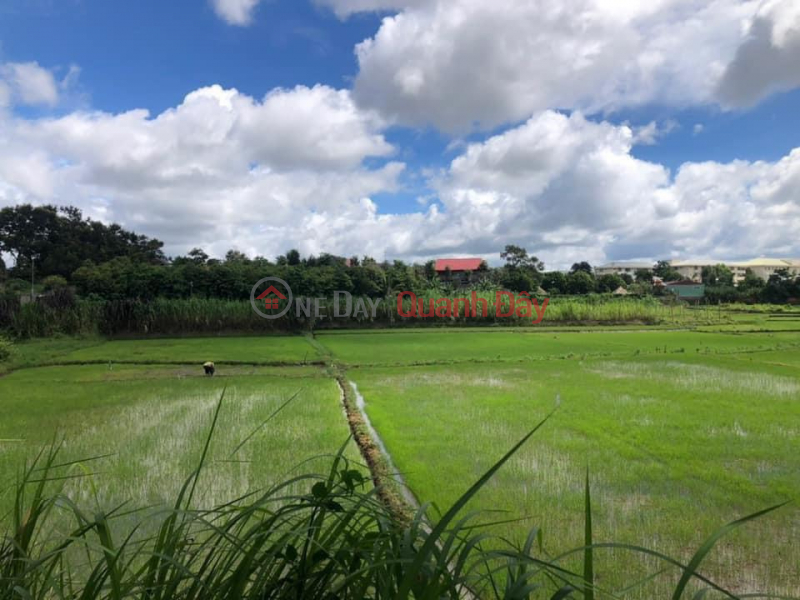 The owner urgently sells land at a loss in the city center. Pleiku 0989174556 Vietnam | Sales, đ 9 Billion