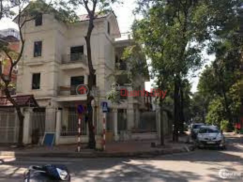 Selling villa in Me Tri Ha urban area 224.5m2, corner lot, price 52.8 billion VND Sales Listings