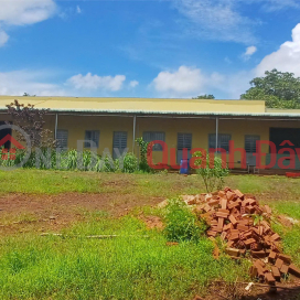 HOT HOT HOT – CHÍNH CHỦ CẦN BÁN NHANH NHÀ XƯỞNG TẠI Xã Đắk Ơ, Bù Gia Mập, Bình Phước _0