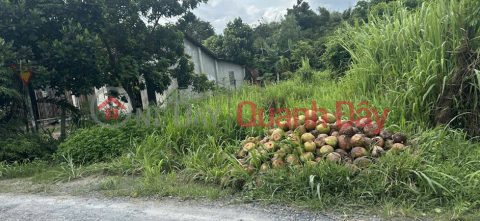 ĐẤT CHÍNH CHỦ- GIÁ TỐT CẦN BÁN NHANH LÔ ĐẤT MẶT TIỀN tại huyện Củ Chi, TPHCM _0