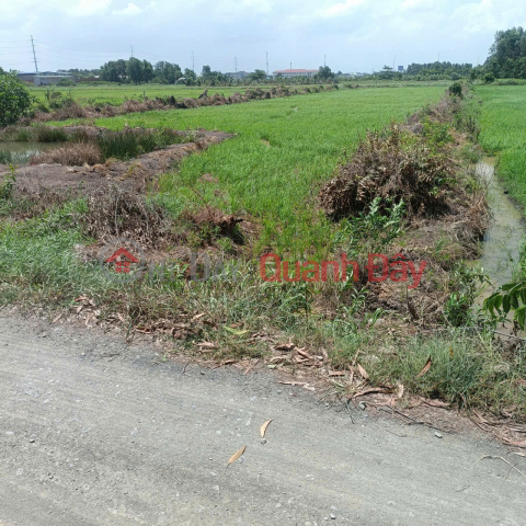 LAND FOR SALE QUICKLY NEXT TO VINHOME SAIGON PARK - GOOD PRICE Located near Thieu Nien Street, Xuan Thoi Son, Hoc Mon, HCM _0