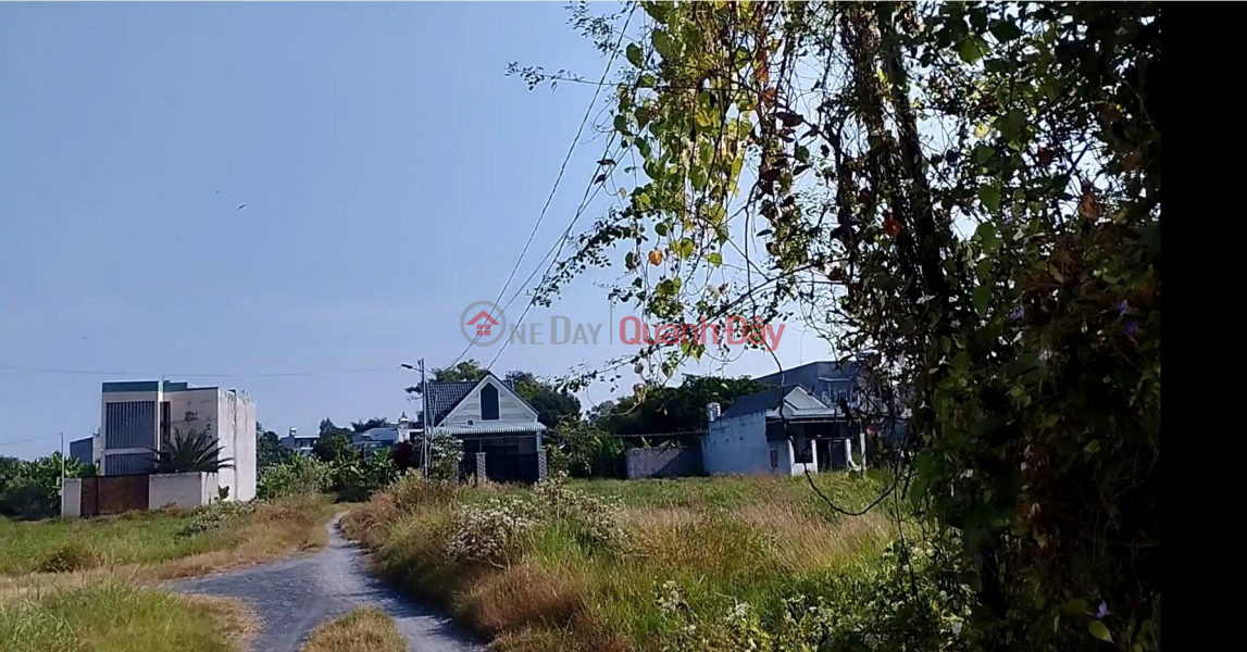 URGENT SALE: BEAUTIFUL PLOT OF LAND AT A GREAT PRICE IN LONG DIEN DISTRICT, BA RIA VUNG TAU PROVINCE | Vietnam Sales, đ 1.45 Billion