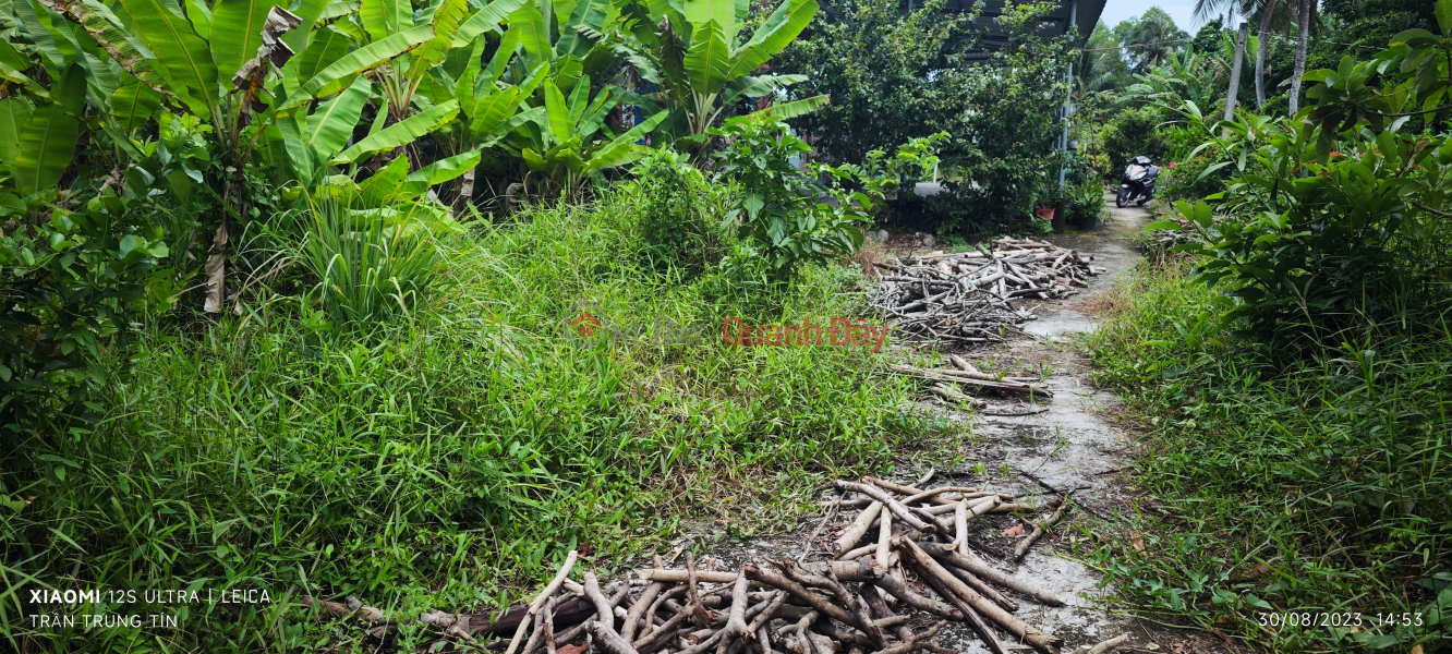 ₫ 750 Million | Urgent sale of Tan Tru plot of land with bank loan price of 1 billion reduced to 750 million