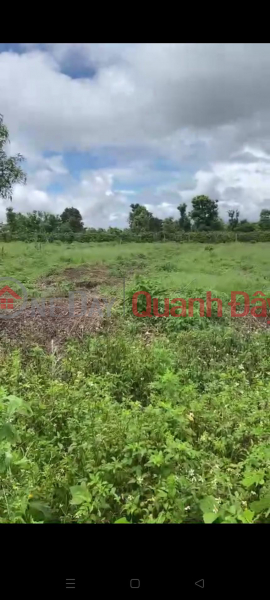 Property Search Vietnam | OneDay | Residential, Sales Listings BEAUTIFUL LAND - GOOD PRICE - Land Lot For Sale Prime Location In Bo Ngoong Commune, Chu Se District, Gia Lai Province