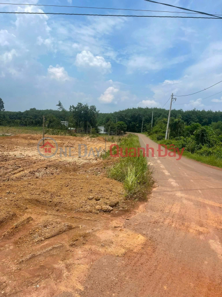 Property Search Vietnam | OneDay | Nhà ở Niêm yết bán | Chỉ từ 4xx triệu sở hữu đất thành phố 5x40m, sổ riêng, mặt tiền nhựa, sát khu công nghiệp