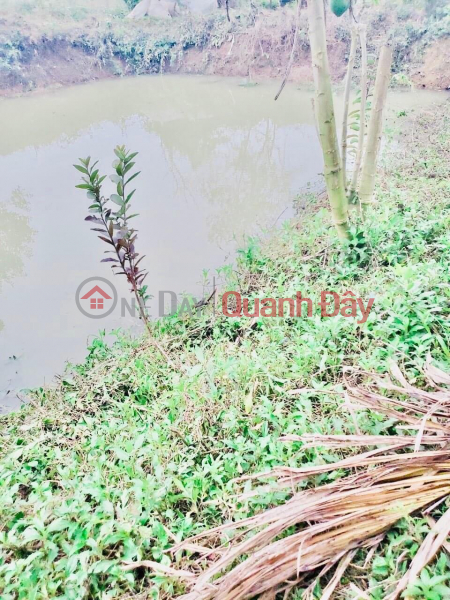 Property Search Vietnam | OneDay | Niêm yết bán, Bán lô đất S 1380m 400m ONT, Lương Sơn, Hòa Bình.