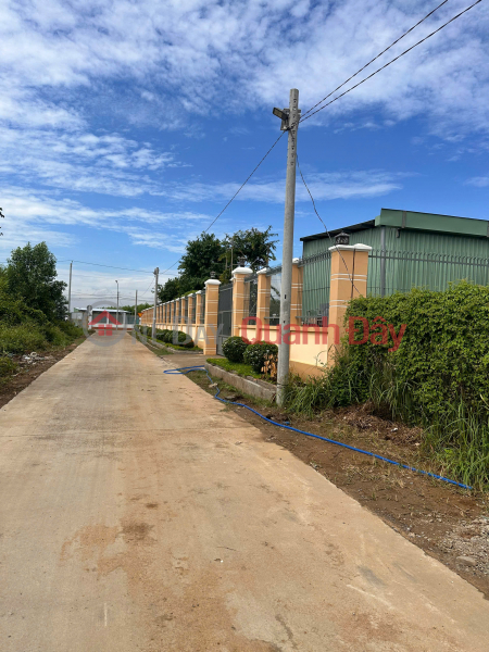 Property Search Vietnam | OneDay | | Sales Listings Selling 2 plots of land opposite Binh Loi resettlement area