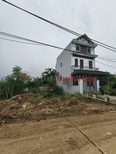 Residential land in Hoang Dong, Hoang Long, area 78m2, 4.5 billion VND, Phu Xuyen, Hanoi Sales Listings