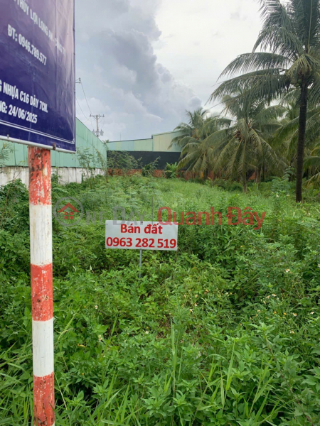 GOOD LOCATION - INVESTMENT IS PROFITABLE - Owner Sells Land Lot on National Highway 57, An Dinh Commune, Mo Cay Nam, Ben Tre Vietnam | Sales, đ 3.8 Billion