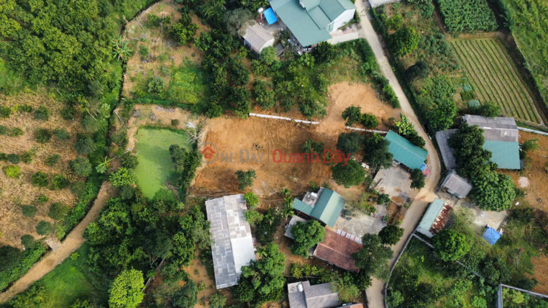 Land for sale by owner for only 3.2 million\\/m2 in Nui Be village, Nam Phuong Tien commune, Chuong My, Vietnam, Sales | đ 4.1 Billion