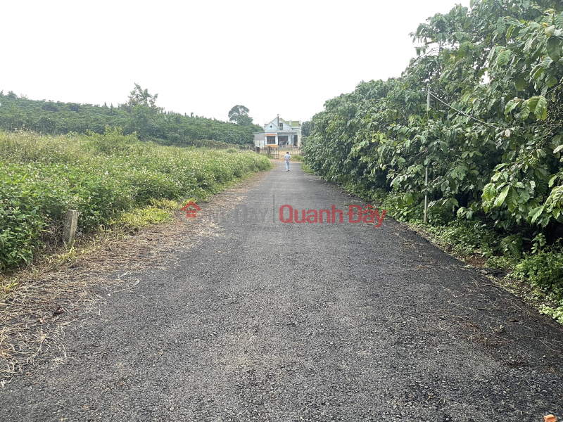 Property Search Vietnam | OneDay | Residential Sales Listings | Land for sale in Loc Ngai, Bao Lam, 122m residential area, price 450 million, asphalt road for cars