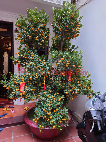 HOT BEAUTIFUL REAL ESTATE - GOOD PRICE, QUICK SALE, GARDEN VILLA, culinary area of Ngoc Island, Ngu Xa, Truc Bach Ward Vietnam | Sales | đ 89 Billion