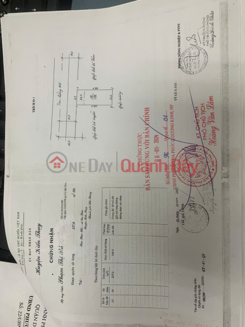 PRICE 5X MILLION VND\/M² – LARGE PLOT OF LAND ON 355 MAC DANG DOANH ROAD, RARE OPPORTUNITY. CONTACT US VIA ZALO 0567 222 555 _0