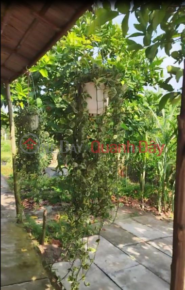 Bán Đất Thổ Cư Nguyễn An Ninh, P. Sa Đéc, Đồng Tháp. DT 864m2, Sổ Hồng. Giá 2.5 Tỷ. Việt Nam Bán đ 2,5 tỷ