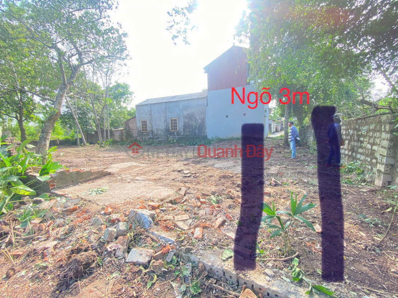 Property Search Vietnam | OneDay | Nhà ở | Niêm yết bán | Đất nghỉ dưỡng view sông giá chỉ vài triệu/m2
- Diện tích 336m2 thực tế rộng hơn