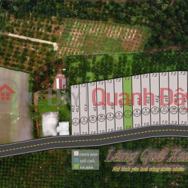 QUICK SALE OF LAND IN Tan Ha - Lam Ha - Lam Dong _0