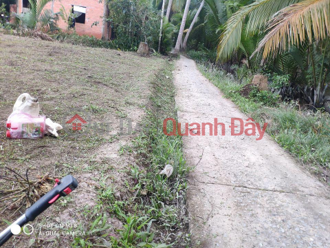 Landlord Urgently Needs Sale Land In Tan Phu Tay Commune - Mo Cay Bac - Ben Tre. _0