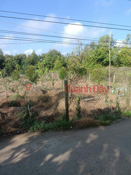 BEAUTIFUL LAND - FRONTAGE - Owner Needs to Sell Garden Land in Beautiful Location in Long Tien Commune, Cai Lay, Tien Giang | Vietnam, Sales, đ 1.8 Billion