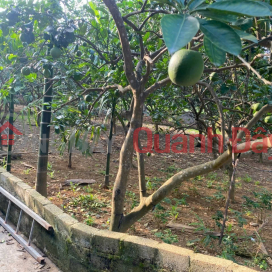 LAND LOT IN GOOD LOCATION - INVESTMENT PRICE OWNER NEEDS TO SELL QUICKLY land lot in Chuong My district, Hanoi city _0