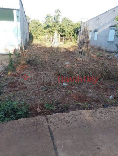 PRIME LAND – GOOD PRICE – OWNER SELLING LAND at Bau Lam Market, Bau Lam Commune, Xuyen Moc District, Ba Ria - Vung Tau, Vietnam Sales đ 850 Million