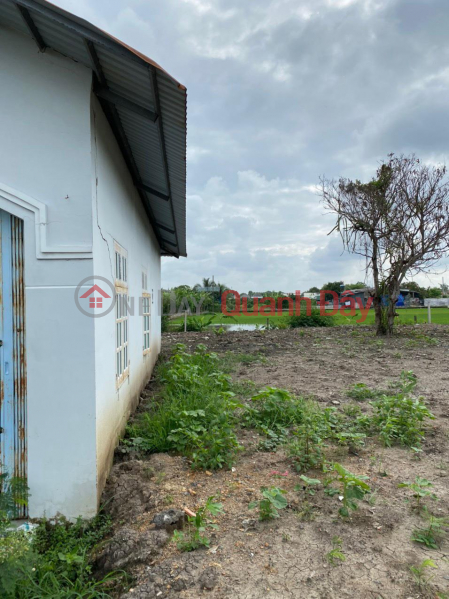 Property Search Vietnam | OneDay | Residential | Sales Listings | Chinh Chi Can sells a piece of land in a beautiful location in Binh Chanh district, Ho Chi Minh City