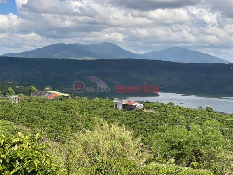 , Please Select, Residential, Sales Listings, đ 8.3 Billion