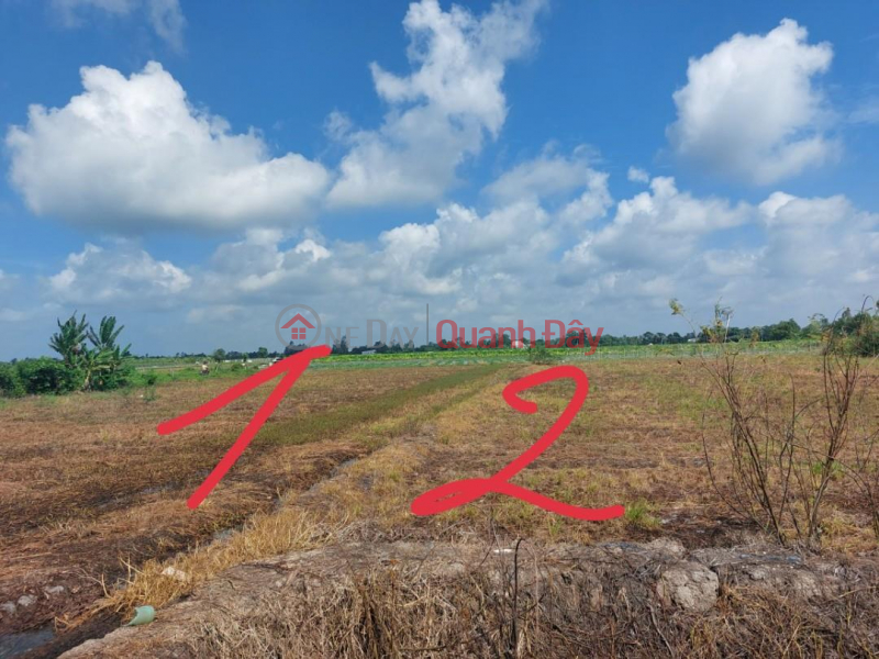 đ 2.1 Billion, Own 02 Adjacent Land Lots With Beautiful Location In Lai Vung, Dong Thap