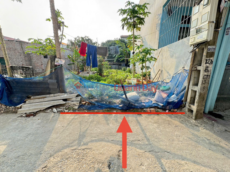 Urgent sale of land lot 6, Quang Minh town, Me Linh. Good location, potential for price increase | Vietnam | Sales | đ 4.1 Billion