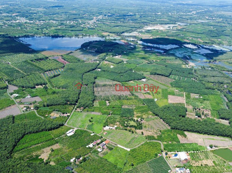 Land plot in Binh Phuoc 255m2 next to KDN price 279 million bags Vietnam Sales | đ 279 Million