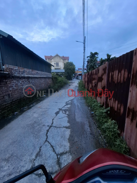 Land for sale in Dinh Trung Xuan Non, 152m x 7m square, truck access only 4 billion negotiable. | Vietnam | Sales, đ 4 Billion