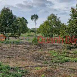 OWNER'S LAND - GOOD PRICE - Need to Sell Quickly Lot of Land in My Duc Dong Commune, Cai Be, Tien Giang _0