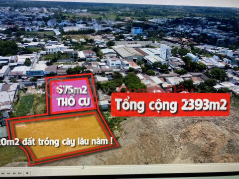Land for sale Front - main road Le Van Khuong, Hoc Mon, 2km from National Highway 1A, nice location, profitable investment _0