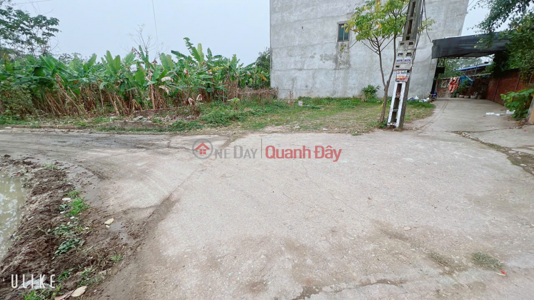 đ 1,62 tỷ | LÔ ĐẤT DT 49.5 M FUN THỔ CƯ ĐẪ QUY HOẠCH LÊ ĐẤT Ở ĐÔ THỊ GIÁ HƠN TỶ , ĐƯỜNG TRƯỚC ĐẤT THÔNG RỘNG 4,5 M