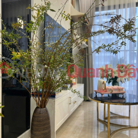 2-bedroom apartment for rent at Vinhomes D'Capitale, 77m2 - fully furnished, ready to move in, only 22 million VND/month. _0