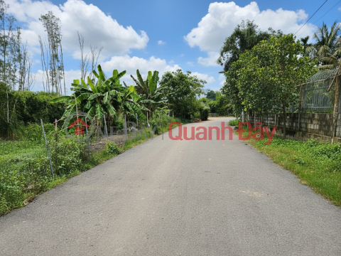 O1948 1040m2 đất Mặt tiền Nhị Bình 17, SHR, 9.x tỷ _0