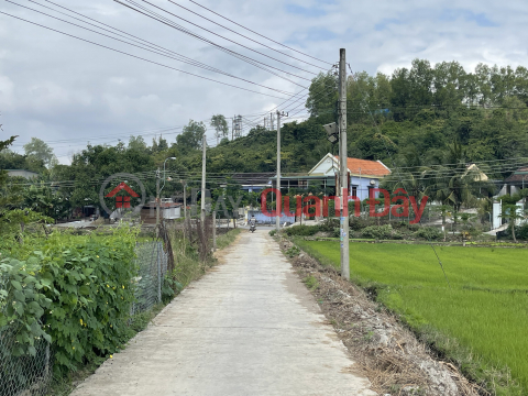 Land for sale in Ninh Giang ward, Ninh Hoa Nam Van Phong near Nui Sam street, price 710 million _0