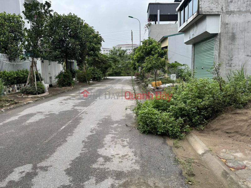 RESETTLEMENT LAND FOR SALE IN TRAU QUY - GIA LAM CONTACT 0985865658, Vietnam | Sales, đ 11.05 Billion