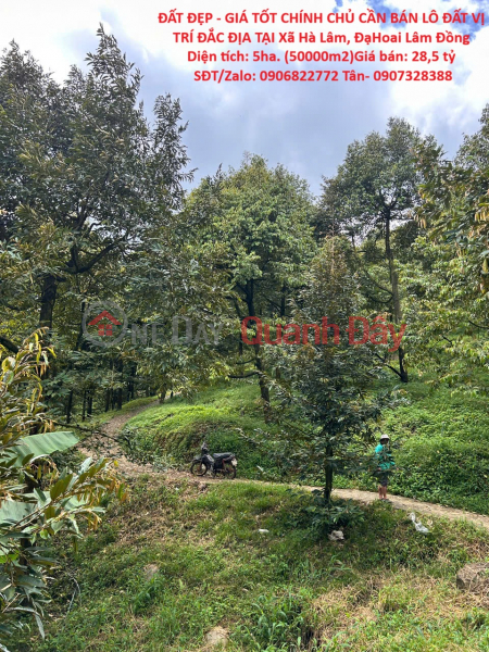 PRIME LAND FOR SALE - OWNER NEEDS TO SELL A PLOT OF LAND IN A STREET LOCATION IN HA LAM COMMUNE, DA HOAI DISTRICT, LAM DONG PROVINCE Sales Listings