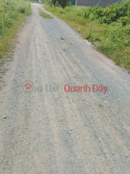 Land for sale in Chi Dong urban area, Me Linh, Hanoi. Near industrial park and ring road 4 Sales Listings