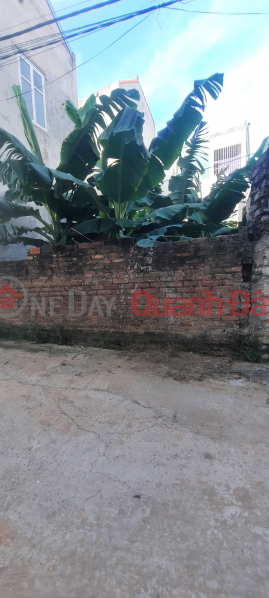 Property Search Vietnam | OneDay | Residential Sales Listings, ORIGINAL SENDING Plot 55M AT DONG HOI, OTO IN. IMMEDIATELY at Nhat Tan Bridge, EUROWINDOWN COURT. DEVELOPMENT AREA