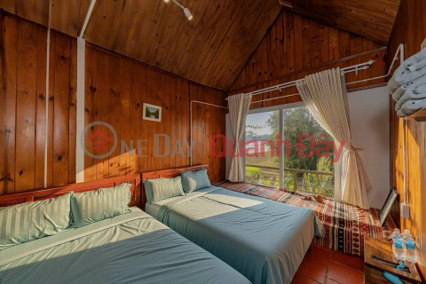 Cho thuê homestay 13 phòng 30 triệu/tháng Hùng Vương Phường 8 Đà Lạt _0