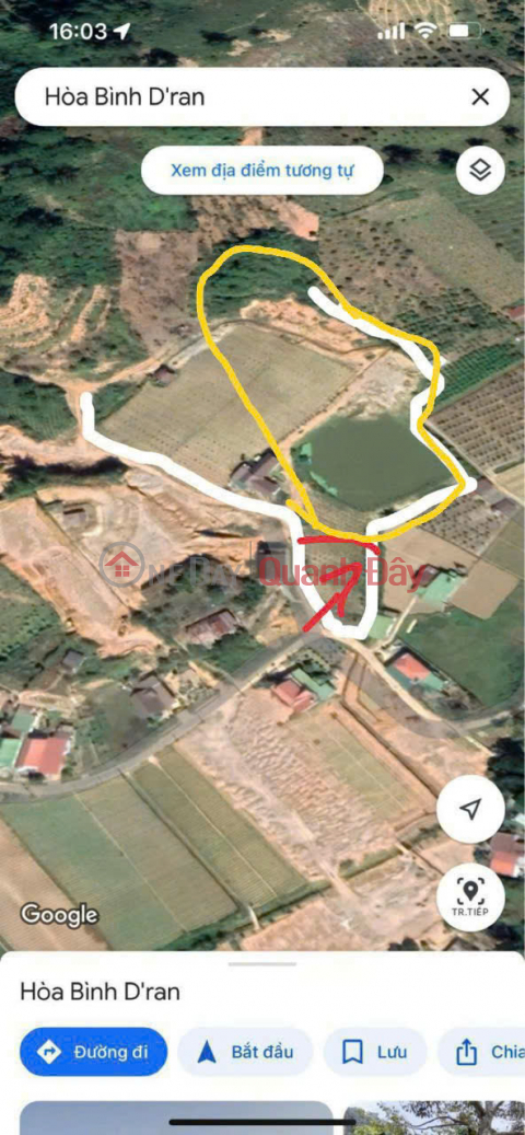 BEAUTIFUL LAND - INVESTMENT PRICE - QUICK SALE OF LAND IN GOOD LOCATION In D'Ran town, Don Duong, Lam Dong _0