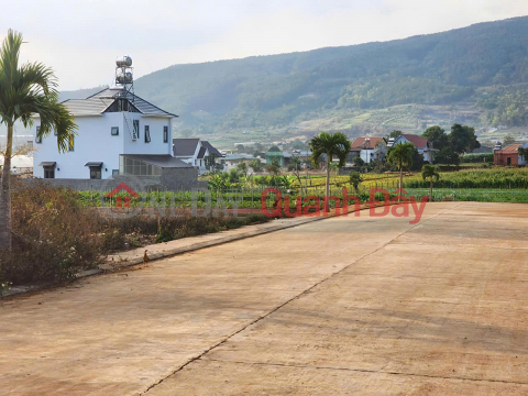 Selling 113.5m2 of land with separate title deed - Hiep Thanh Commune - Duc Trong District - Lam Dong Province for 1.39 billion VND. _0