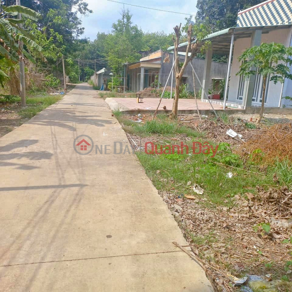 Need money to repay Thanh Ly all assets in Binh Phuoc, 3535m2 with residential area. Price 300 CHILD, Vietnam | Sales, đ 300 Million